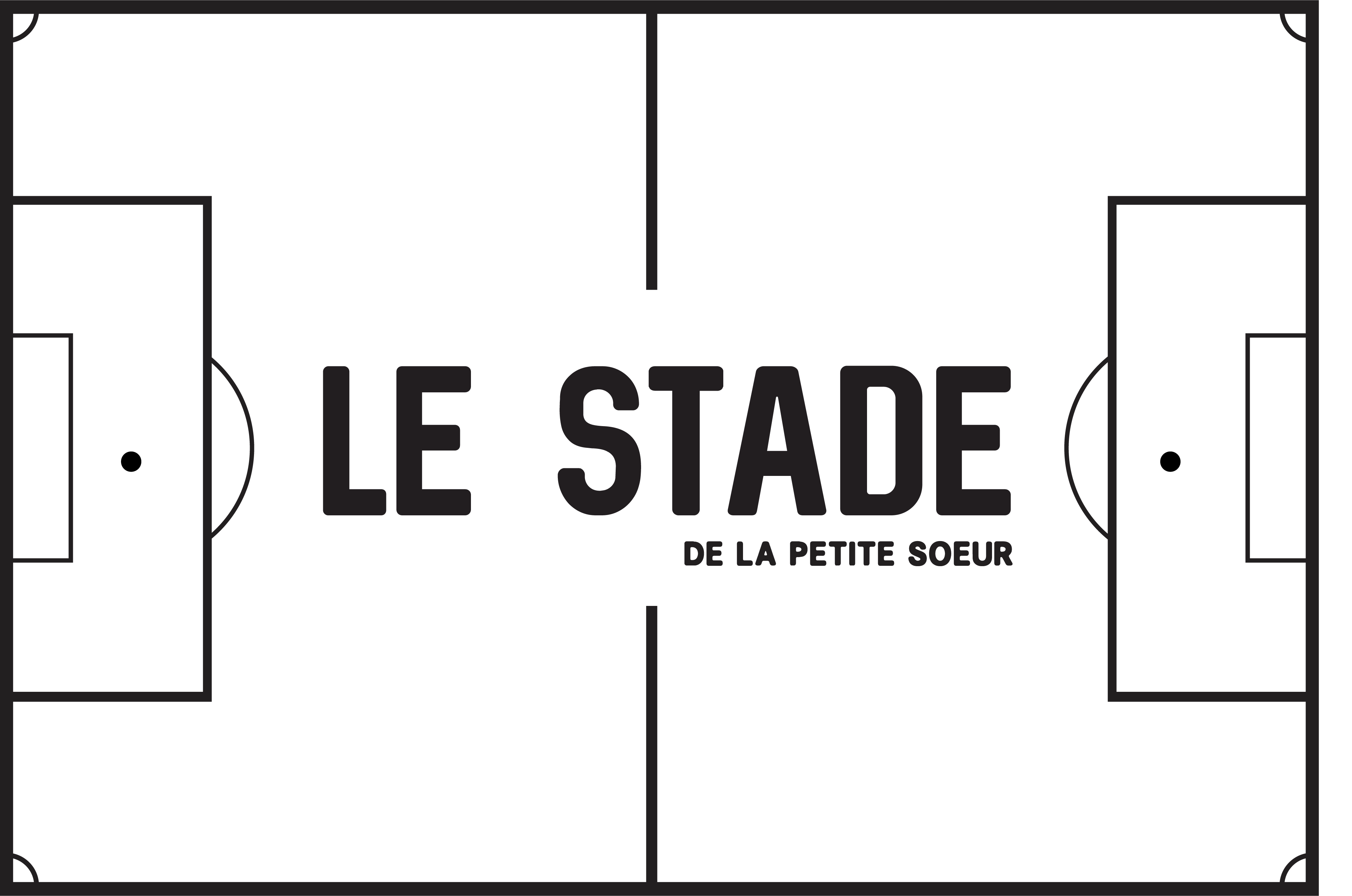 Image du logo du Stade
